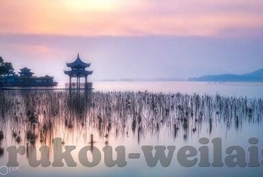 06年世界杯弗林斯-弗林斯在2006年世界杯上的闪耀时刻