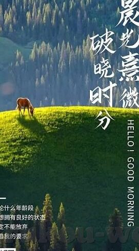 俄罗斯世界杯各国资料-俄罗斯世界杯各国资料